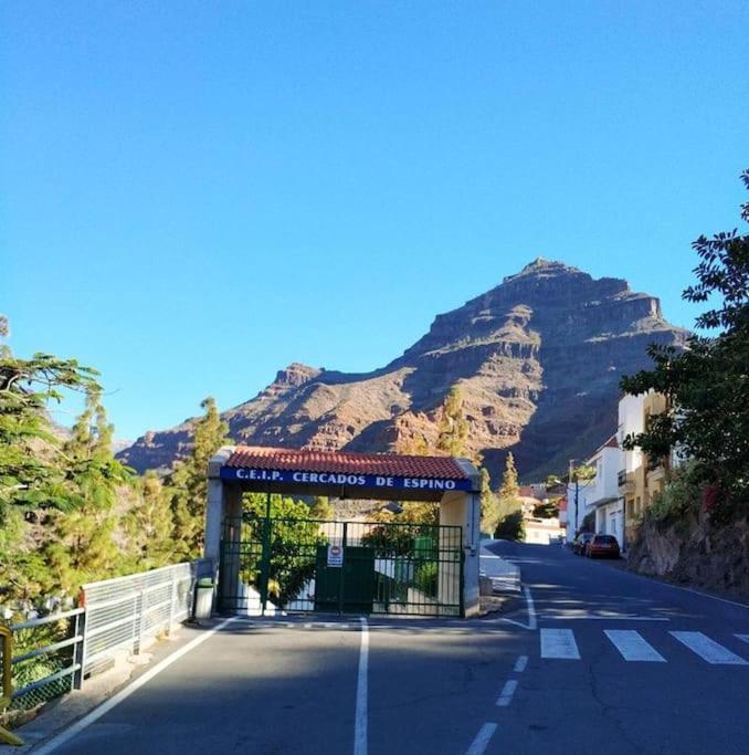 Cycling Holiday, 11 Km From Arguineguin Las Casillas  Buitenkant foto